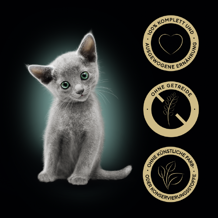 Sheba Katzen-Nassfutter Kitten in Sauce mit Lachs